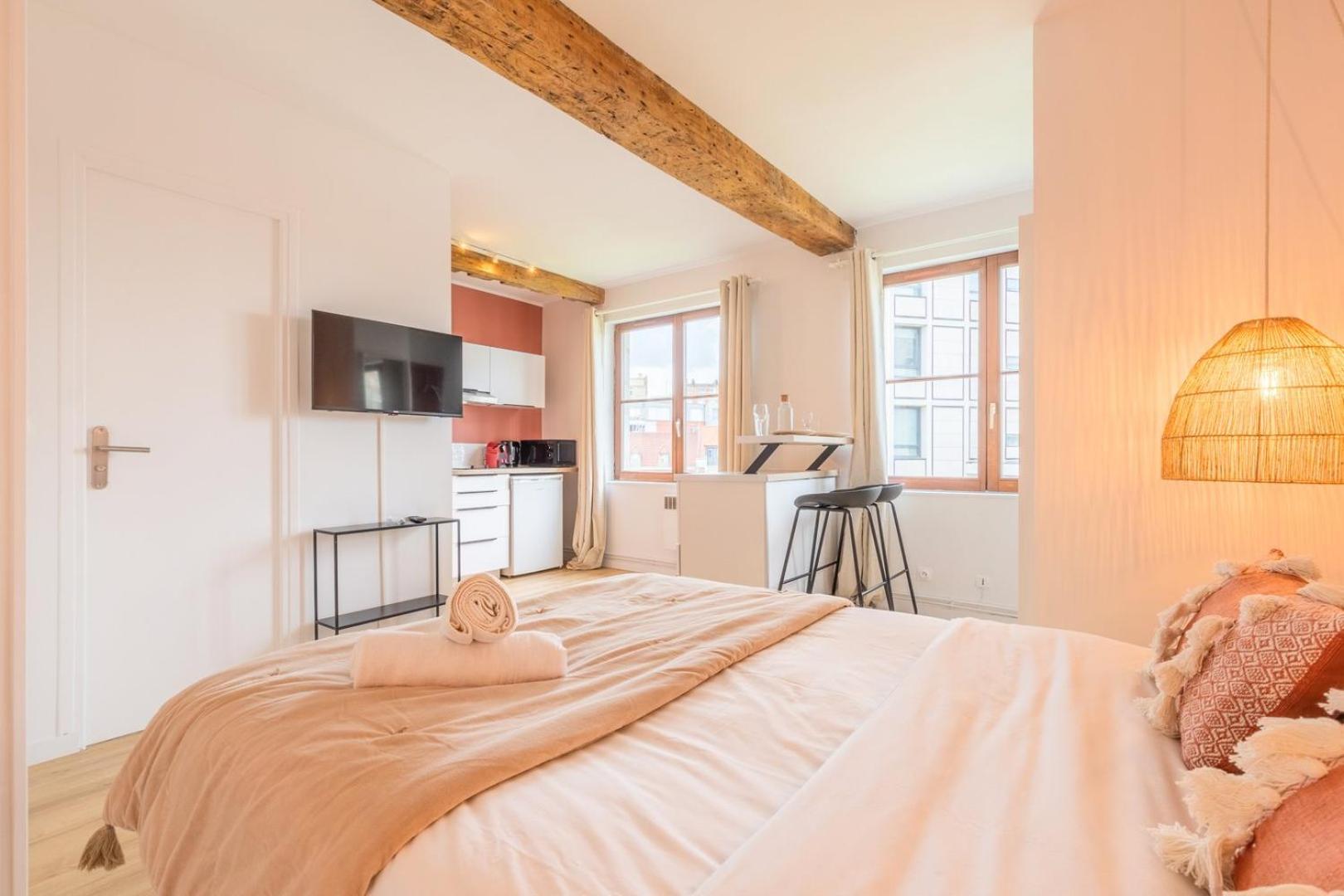 Old - Functional At The Quai Du Wault Appartement Lille